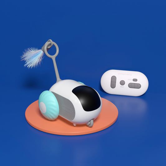 Pet Gravity Smart Racing Car