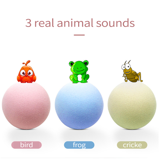 Pet Squeaky Ball