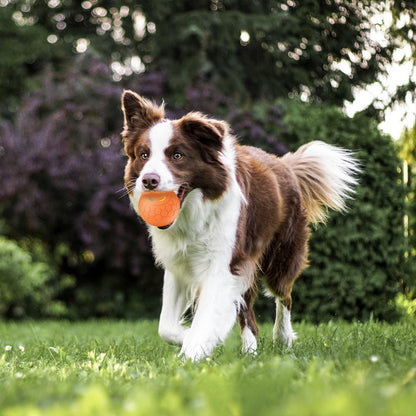 Automatic Pet Jumping Ball